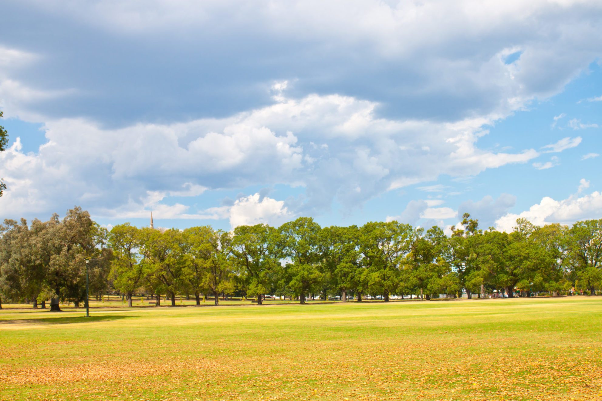 taxing-vacant-land-is-just-too-hard