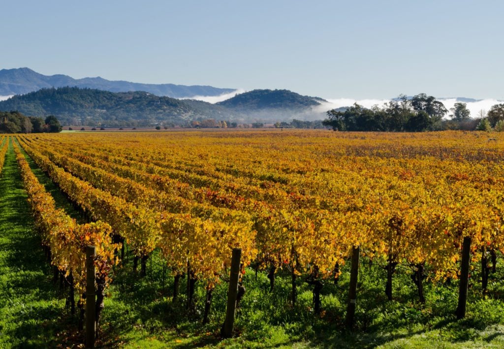Zillow to get listings from MLS in California's wine country