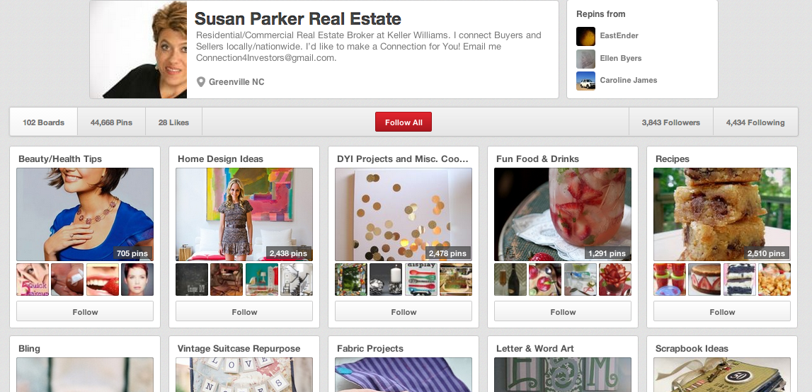 Susan Parker's Pinterest page