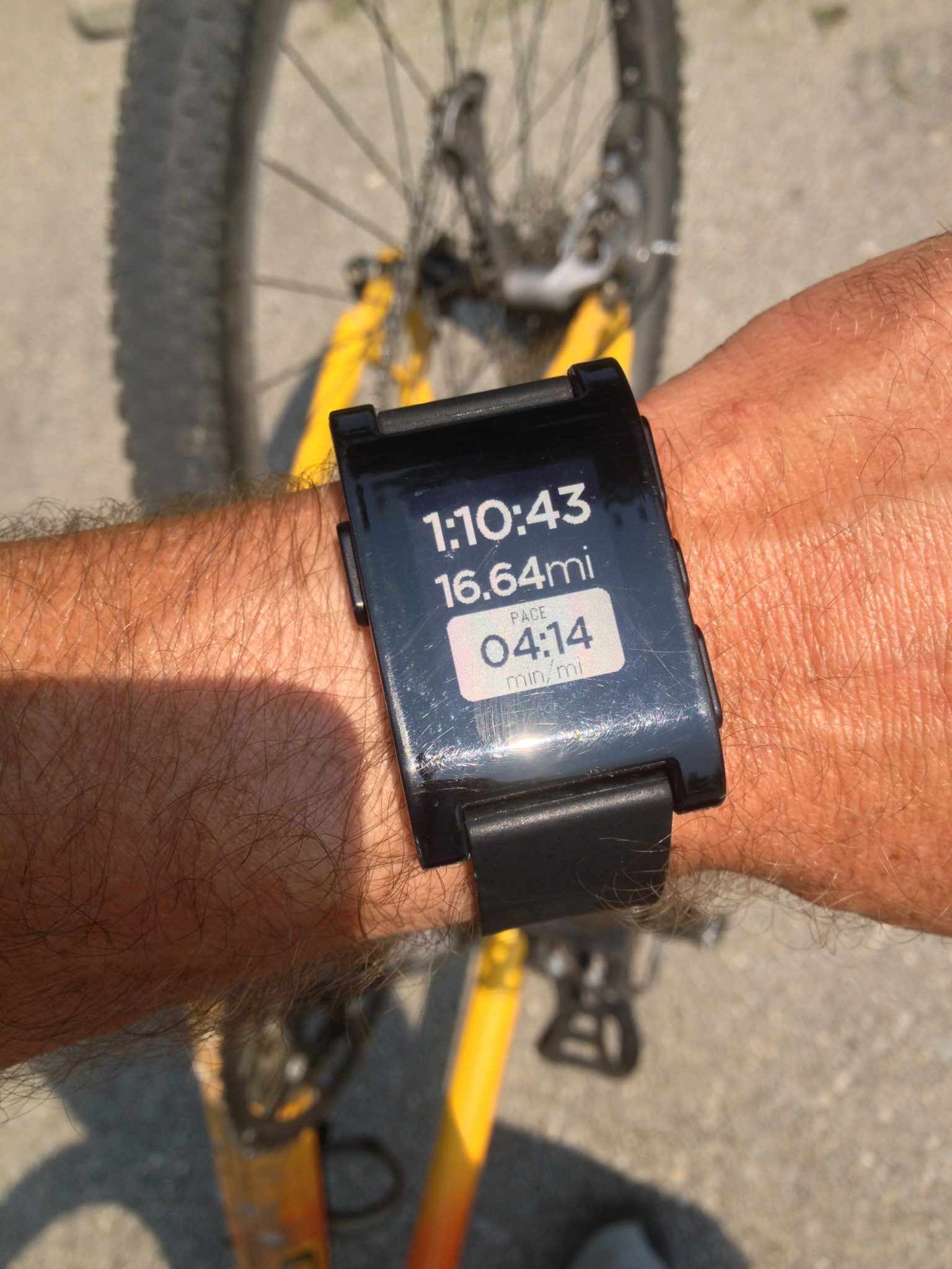 Pebble on a bicycle