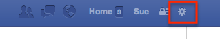 Facebook Settings Widget