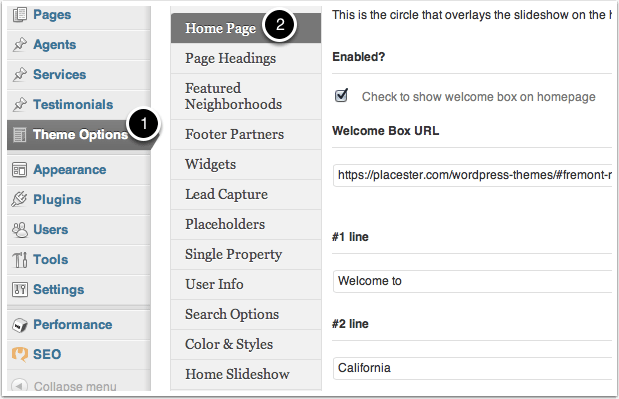 WordPress-HomePage-ThemeOptions
