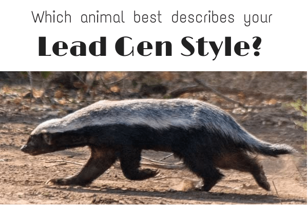Are you the Honey Badger of Real Estate? Take this quiz to find out