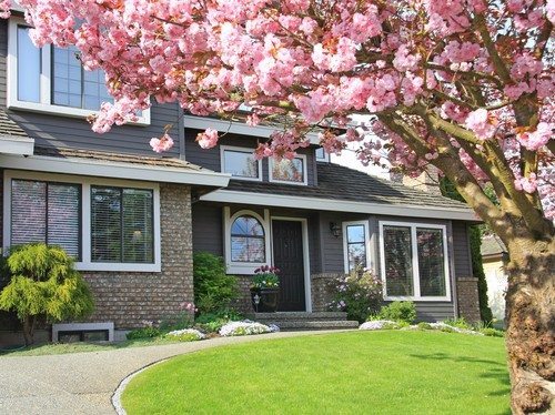 6 market insights your real estate clients can use for a quicker sale this spring