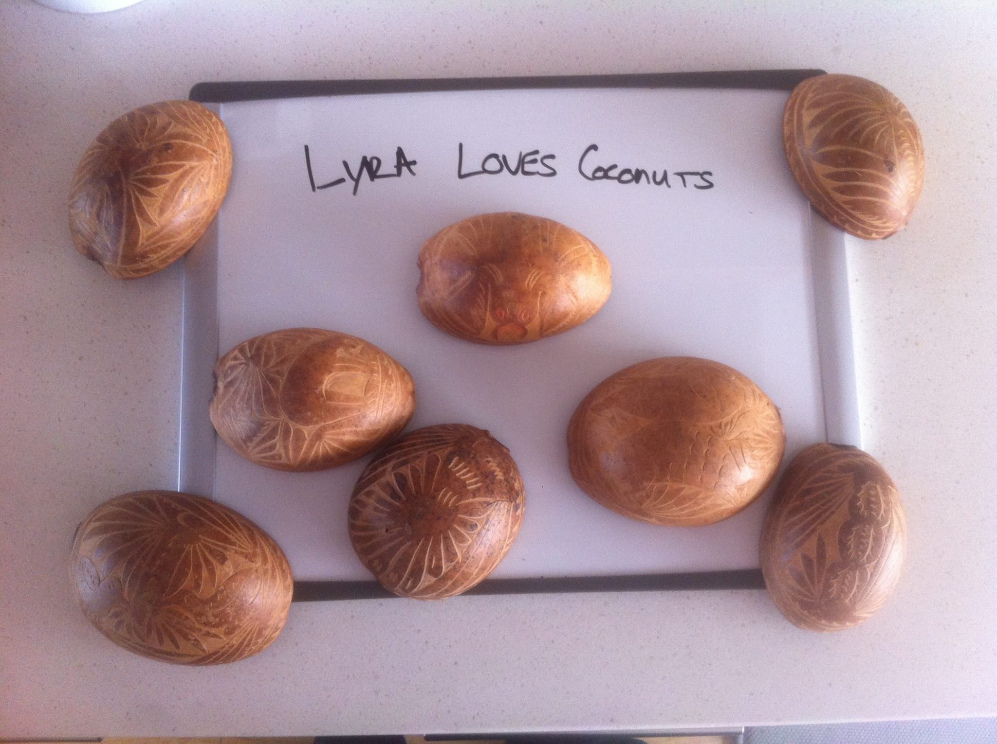 Lyra : Sold displays carved coconut shells in its office to 'keep the fun around.