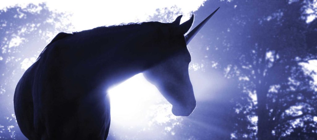 To be or not to be: a unicorn of real estate