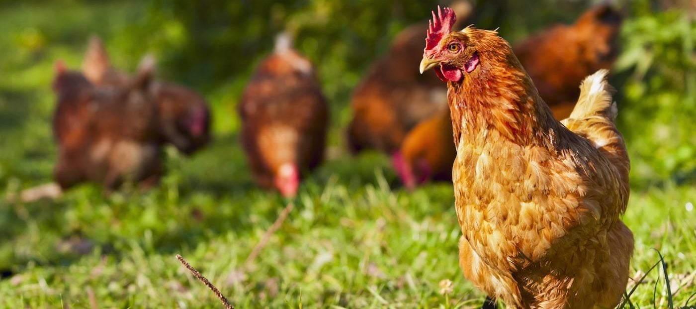 Zillow Group's game of 'chicken'