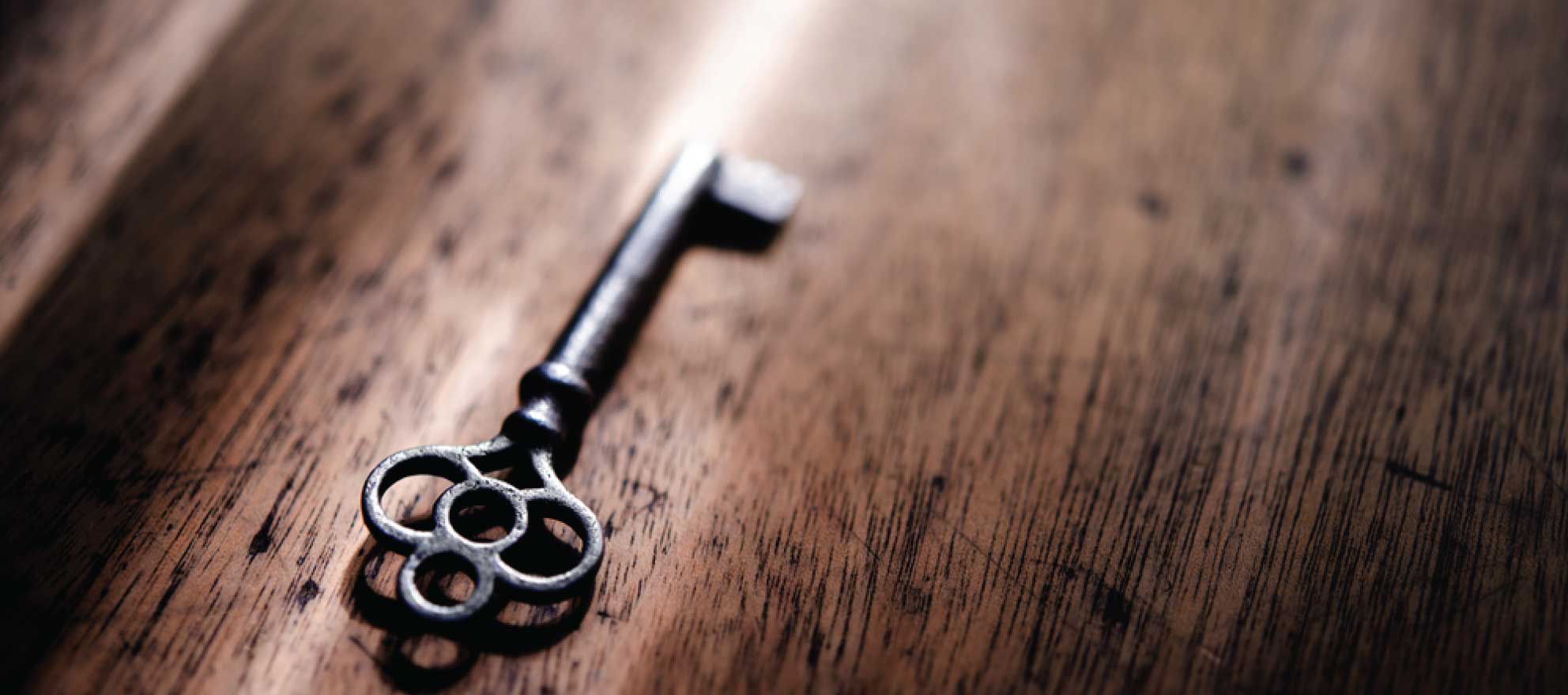Kickstarter Helps Launch Toor, The 