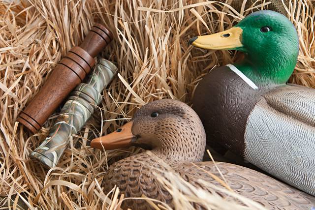 dasytnik / Shutterstock.com
