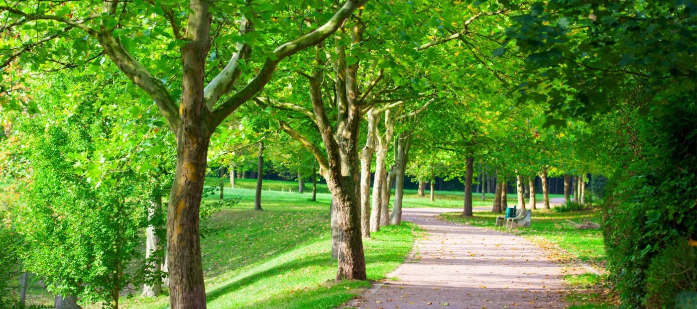 Video listing of the day Nashville home surrounded by nature Inman