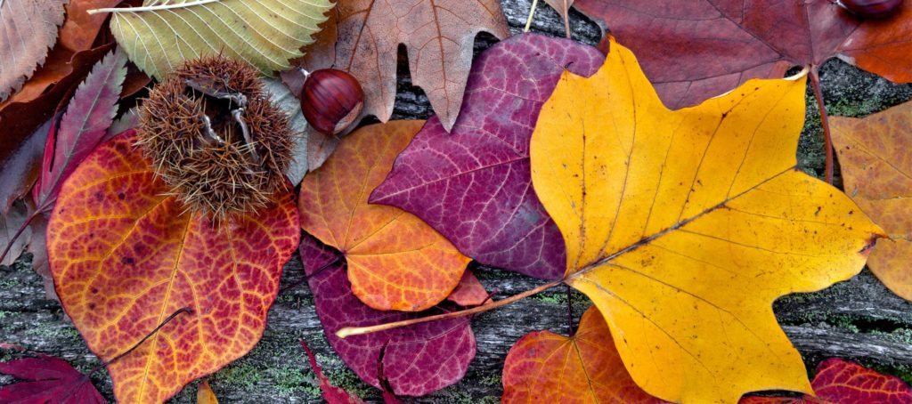 3 ways to engage past clients this fall