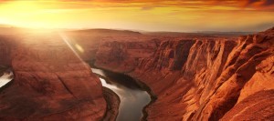 Galyna Andrushko / Shutterstock.com
