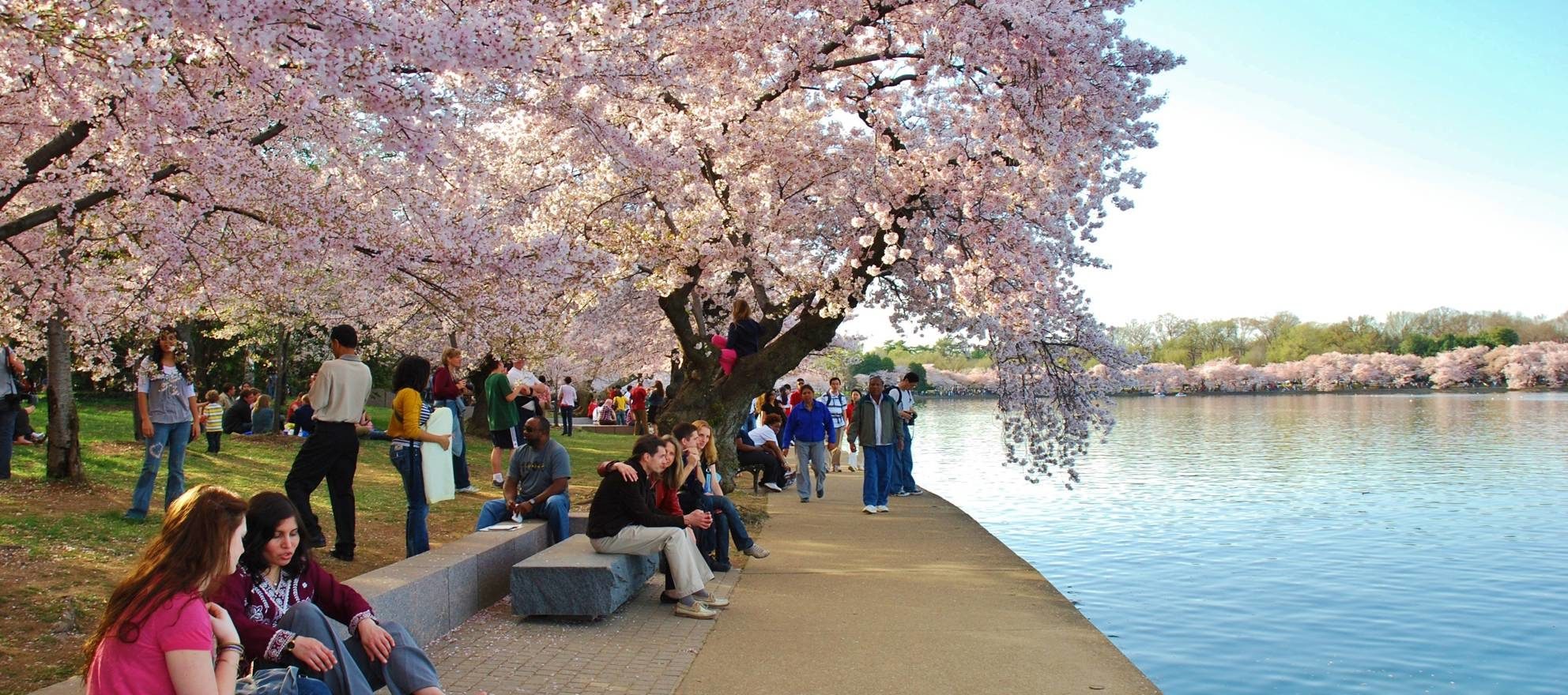 Living in Washington, DC