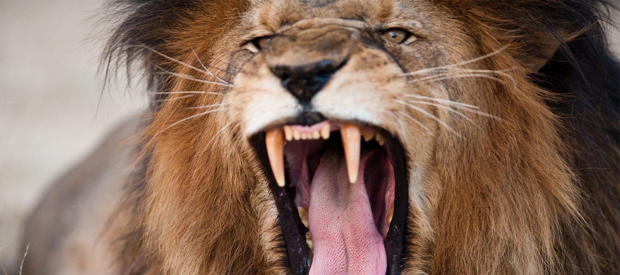 A 10-step plan for dealing with angry real estate clients