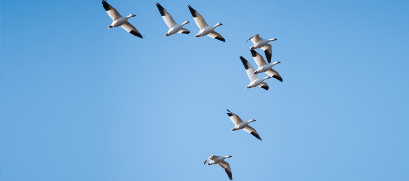 ZIP code profile 20902 Inman