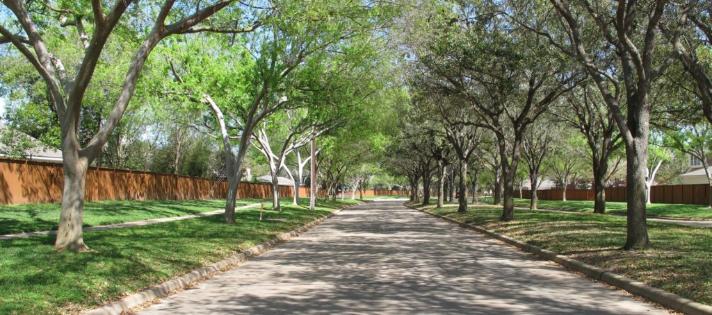 A tree-lined road in Sugar Land, Texas