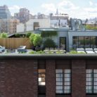 Cobble Hill terrace
