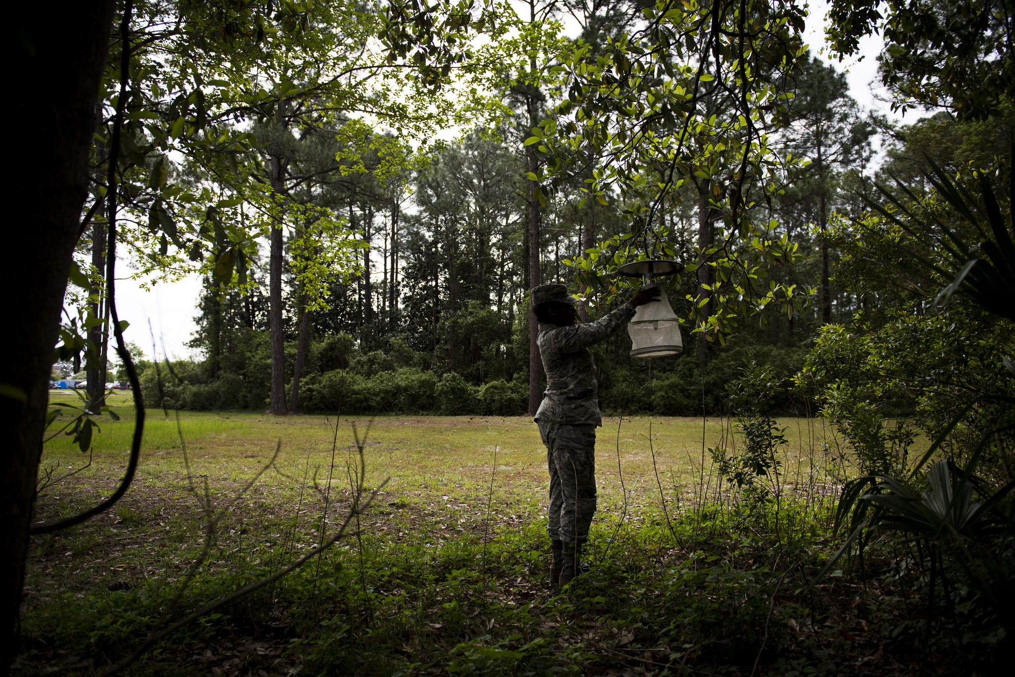 /Airman 1st Class Markesha Hicks sets up a mosquito trap in Hurlburt Field Air Force Base, Florida/Airman Magazine 