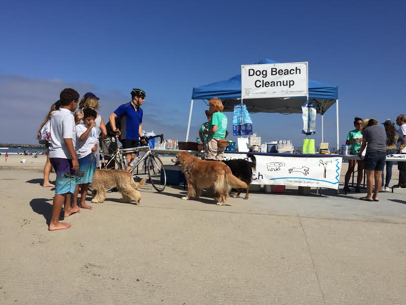 Dog Beach Cleanup Day in San Diego