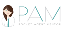 Pocket Agent Mentor