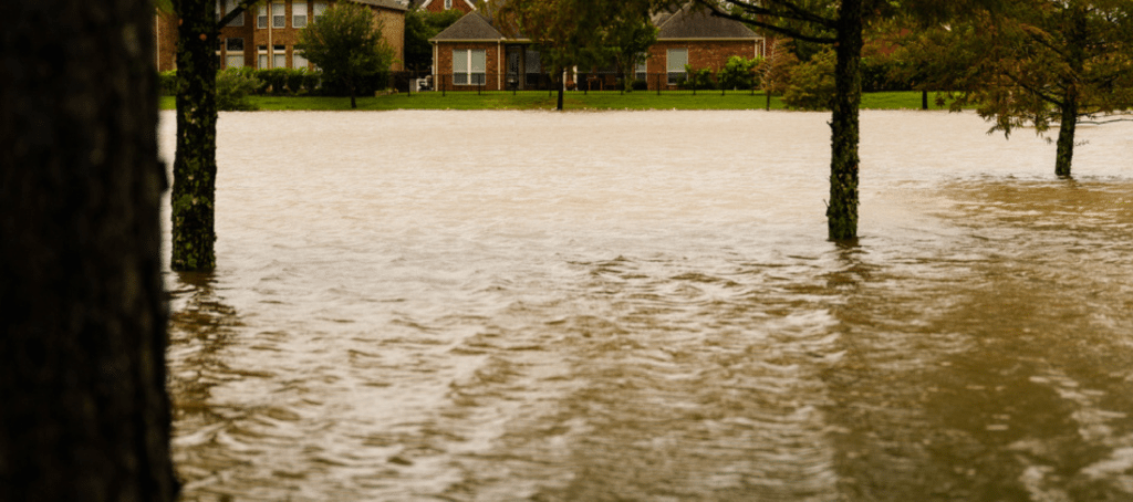 nfip flood insurance texas