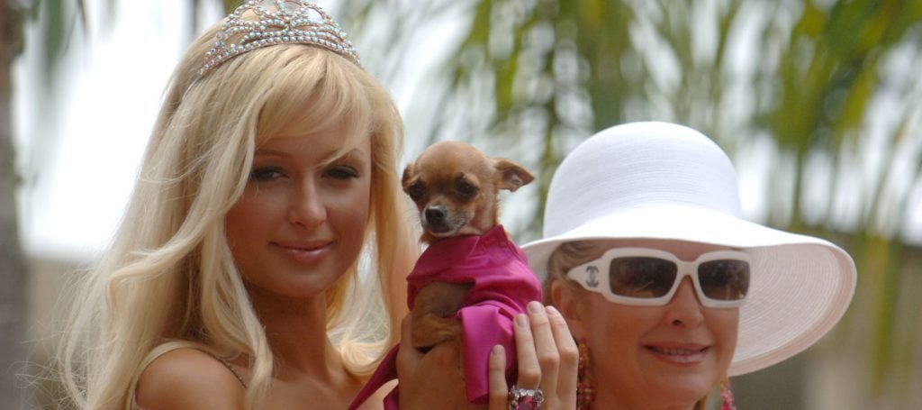 Paris Hilton helps real estate power couple recover stolen dog