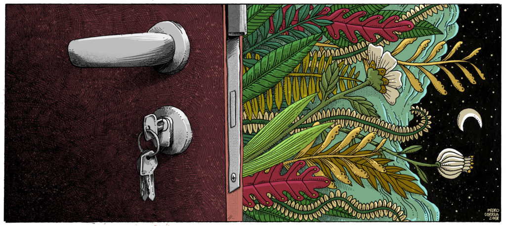 Cool psychedelic door and keys