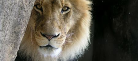 A new breed of leader is needed for MLSs and Realtor associations