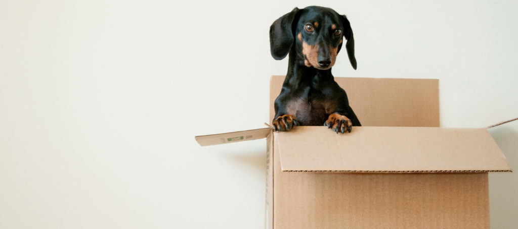 Moved, a home moving startup, closes $3.2M funding round