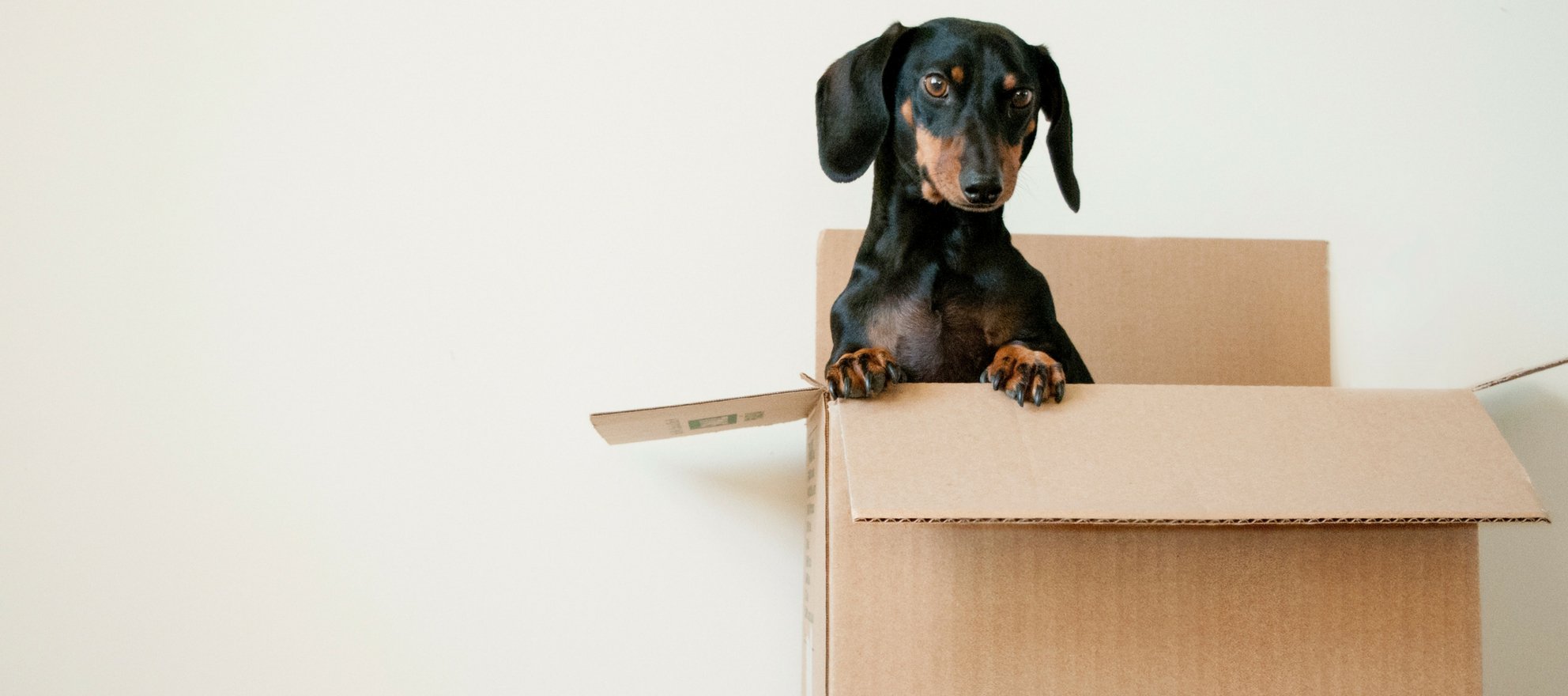 Moved, a home moving startup, closes $3.2 million funding round
