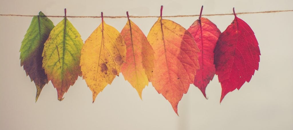 5 ways to take advantage of fall and make your yearly goals