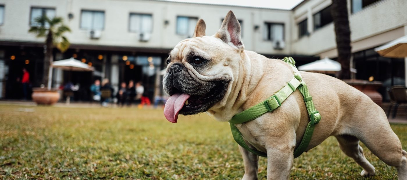 In real estate’s tech platform race, I’m betting on an underdog