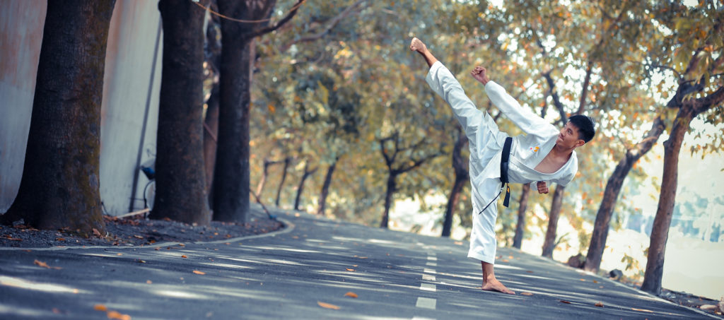 Karate martial arts kung fu