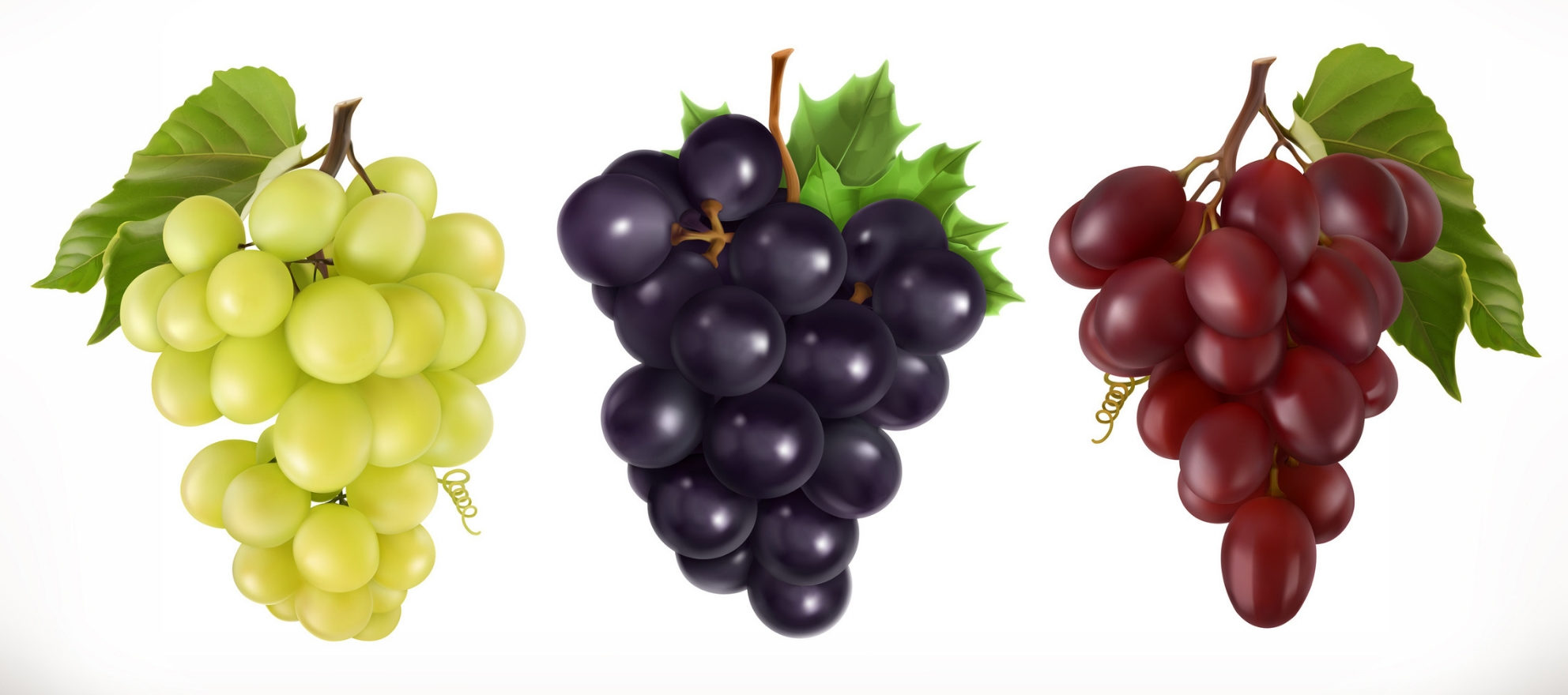 Heard It Through The Grapevine