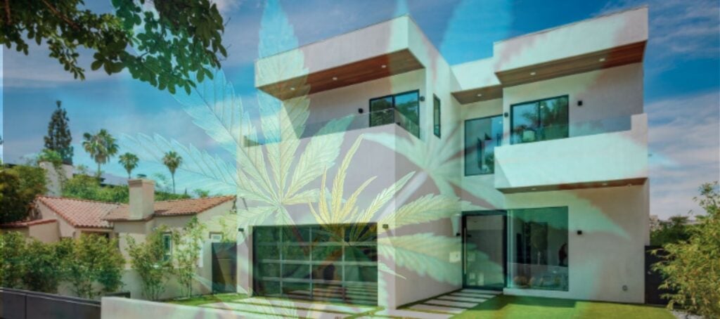 ‘Cannabis Open House Party’ to launch social app Rila