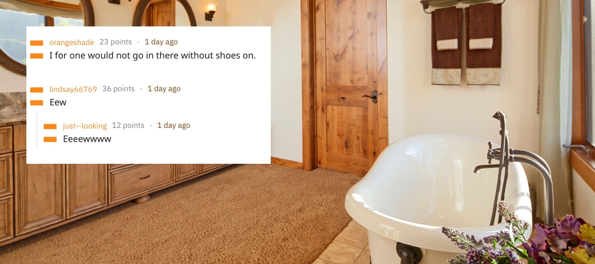 A Carpeted Bathroom? Woman's Shocked Reddit Post Goes Viral