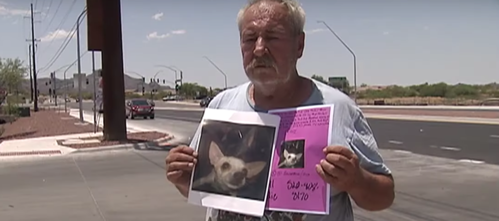 Man offers 1-bedroom home to anyone who finds his missing dog