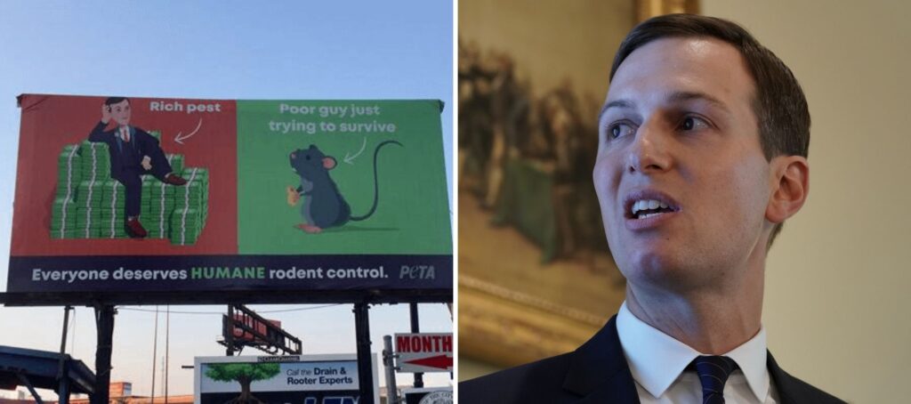 Baltimore billboard calls Trump's landlord son-in-law a 'rich pest'