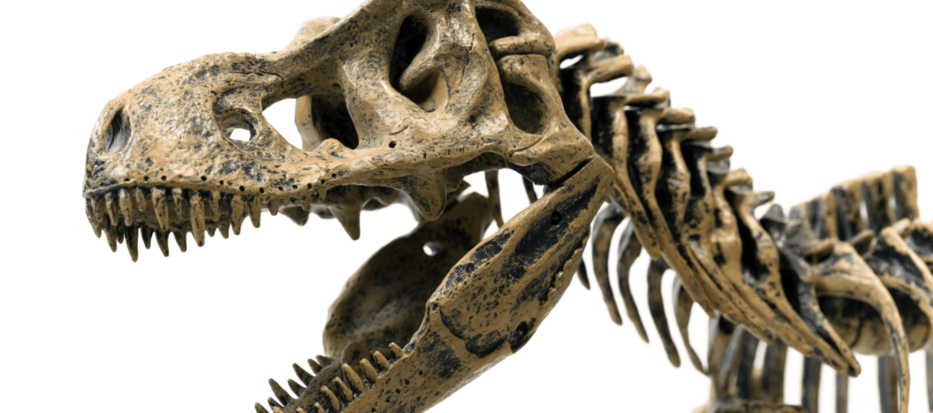 Next big luxury design trend? Think dinosaur fossils