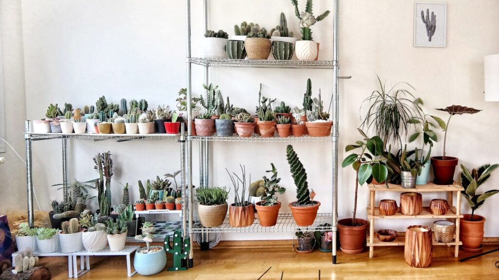 The latest reason millennials aren't buying homes? Houseplants