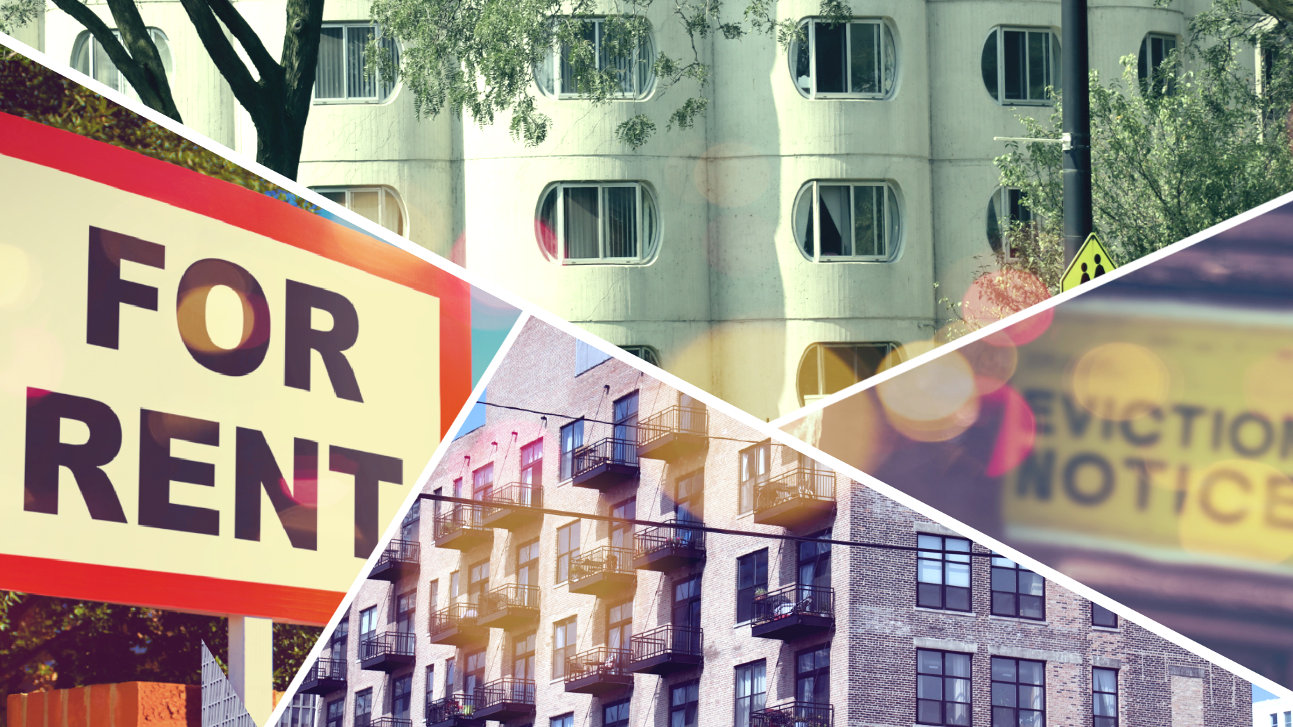 Real Estate Rental News &amp; Tips