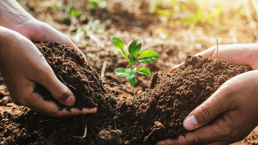 How this franchise is growing its business by planting trees