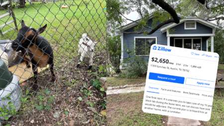 Man offers discounted rent for dog-sitting, draws internet outrage