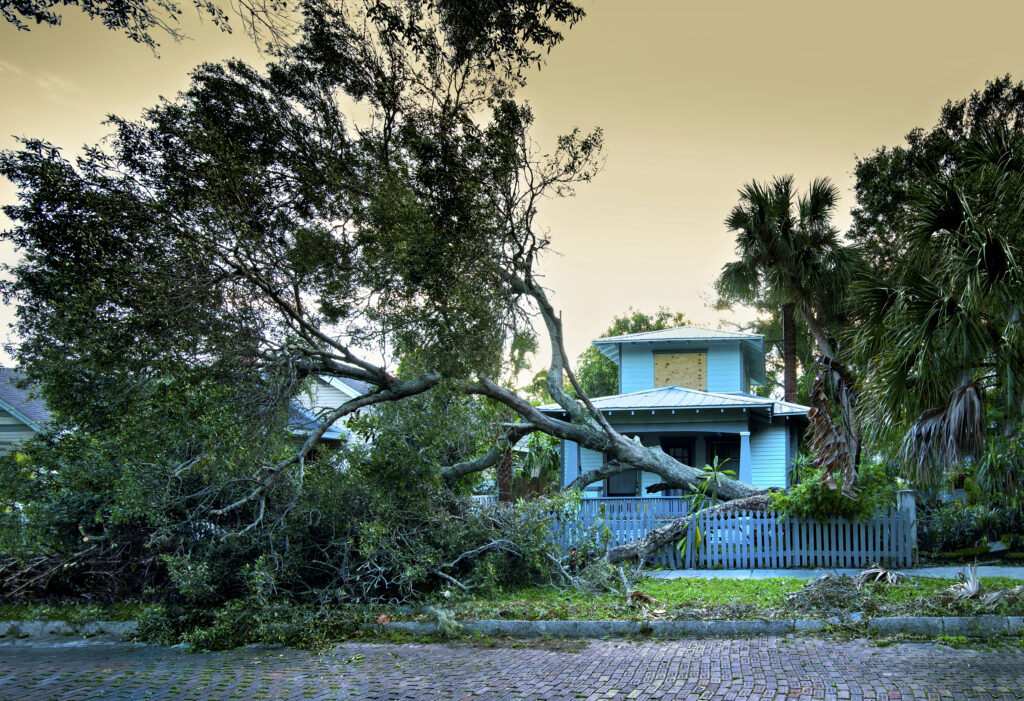 78% of buyers consider natural disaster risk when house hunting