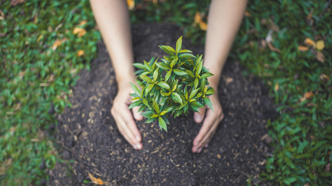 Don't Stunt Your Growth! 7 Truths To Embrace Now Inman