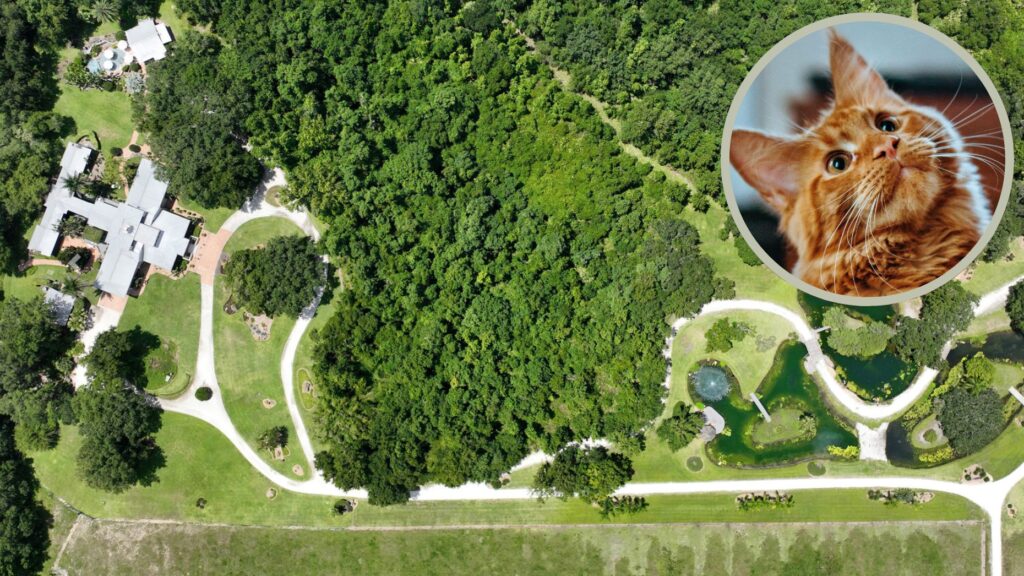 Florida home of Kitty Litter and Tidy Cat founder lists for $15M