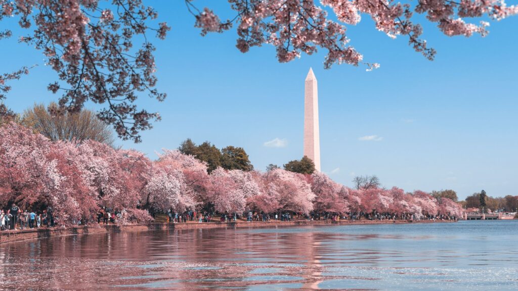 Douglas Elliman To Expand Into Nation's Capital - Vimarsana News