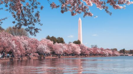 Douglas Elliman to expand into nation's capital